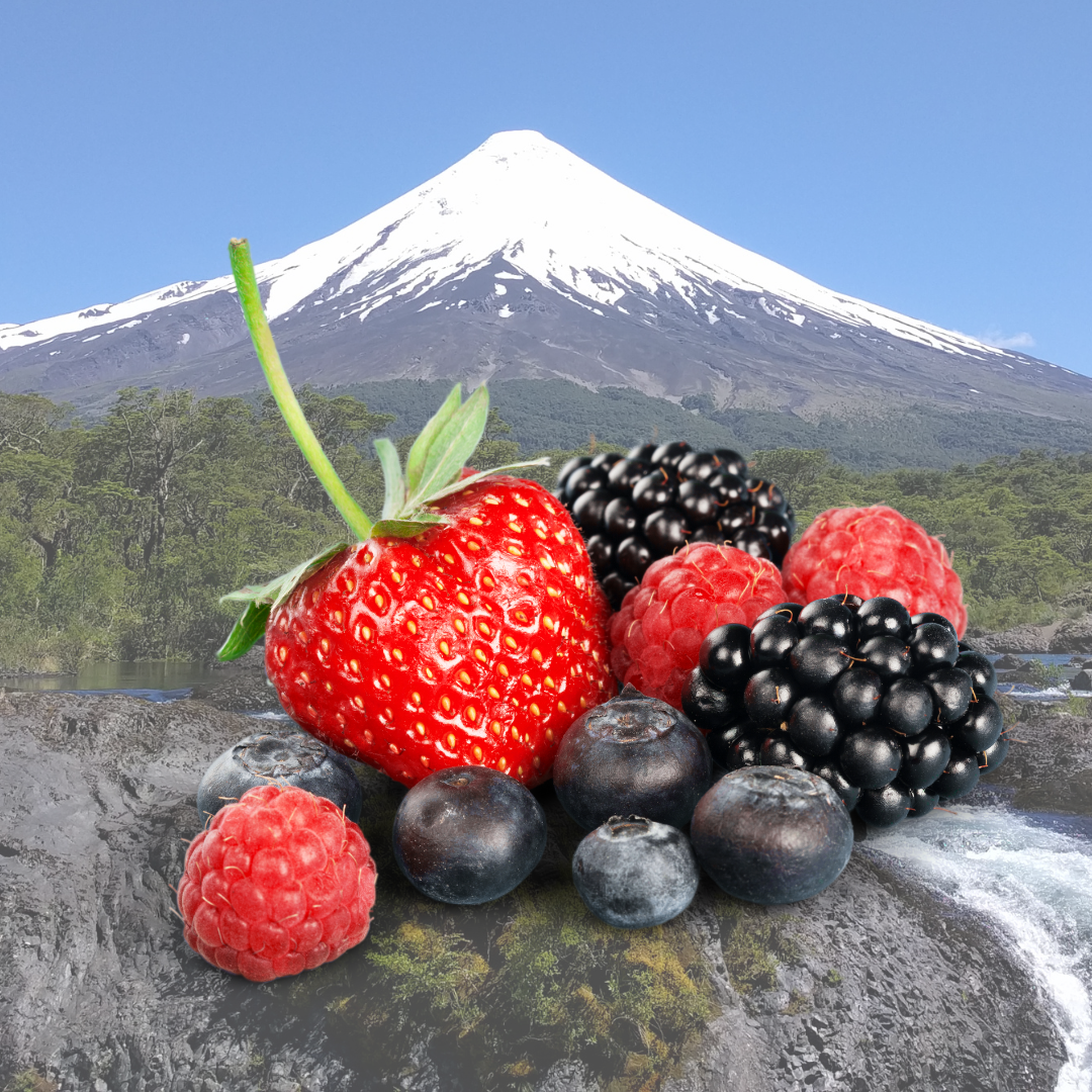 Berries Crux Australis